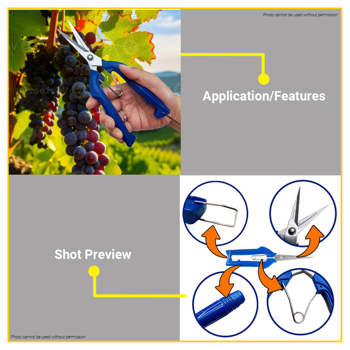 BUILDMATE Wadfow 8" Inch Stainless Steel Grape Shears 210MM Scissors Gunting WSX5608 - WHT