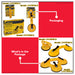 Lotus 25kg - 75kg Glass / Tile Suction Cup LHT