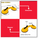 Lotus 25kg - 75kg Glass / Tile Suction Cup LHT