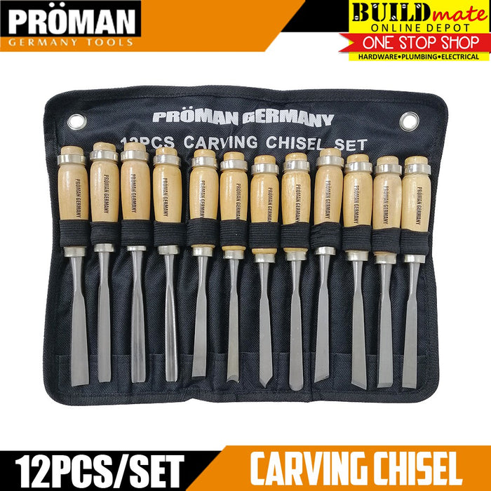 PROMAN 12PCS/SET Wood Carving Hand Chisel Tool Set Woodworking Carving Chisel •BUILDMATE•