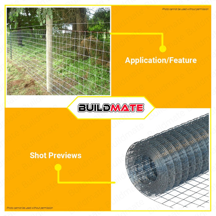 BUILDMATE Polonet Galvanized Welded Wire Mesh Net #21 3ft / 4ft  Square Welded Mesh for Fencing & Cages PLL-WW12X3 / PLL-LT55003-124