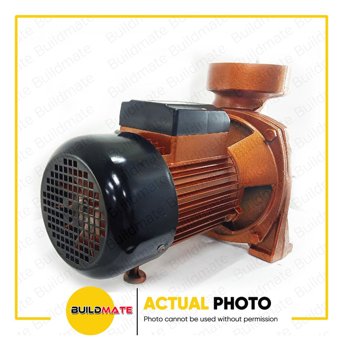 BUILDMATE Powerhouse Hi Flow Centrifugal Pump 4HP PH-CO-HIFLOW4-4HP PHMB