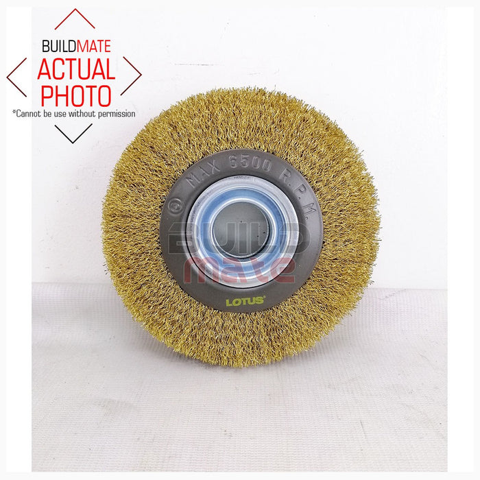 LOTUS 6" Metal Circular Brush LTXT150CBX •BUILDMATE•