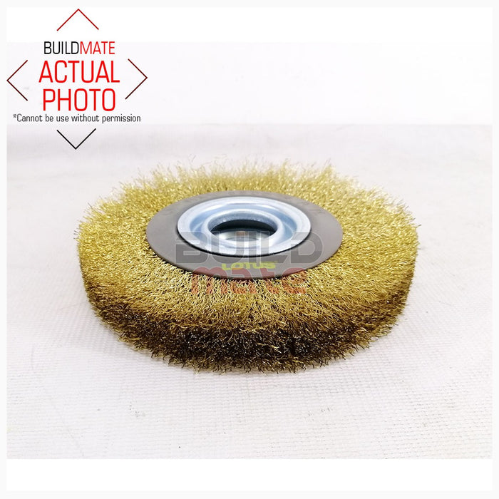 LOTUS 6" Metal Circular Brush LTXT150CBX •BUILDMATE•