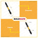 INGCO 10 PCS Impact Screwdriver Bit Screw Ph2 + Ph2 65mm Set SDBIM21PH233 AUTHENTIC •BUILDMATE• HT2