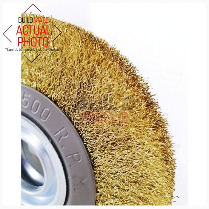 LOTUS 6" Metal Circular Brush LTXT150CBX •BUILDMATE•