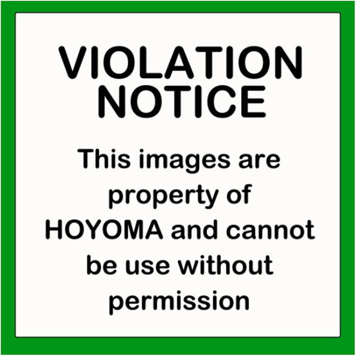 HOYOMA Multifunction Oscillating Saw S2905 NEW ARRIVAL!