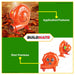 HOYOMA Electric Blower 2.5" 260W / 2" 150W HT-EB25IN | HT-EB2IN •BUILDMATE• HYMPT